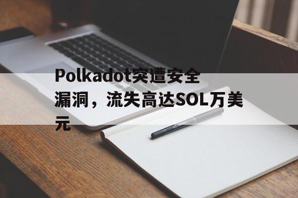 关于Polkadot突遭安全漏洞，流失高达SOL万美元的信息