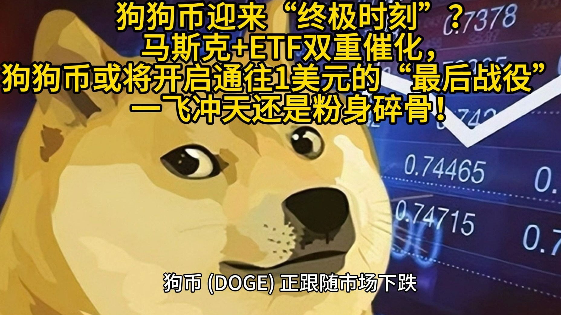 马斯克再次发推，狗狗币瞬间上上扬81%！的简单介绍