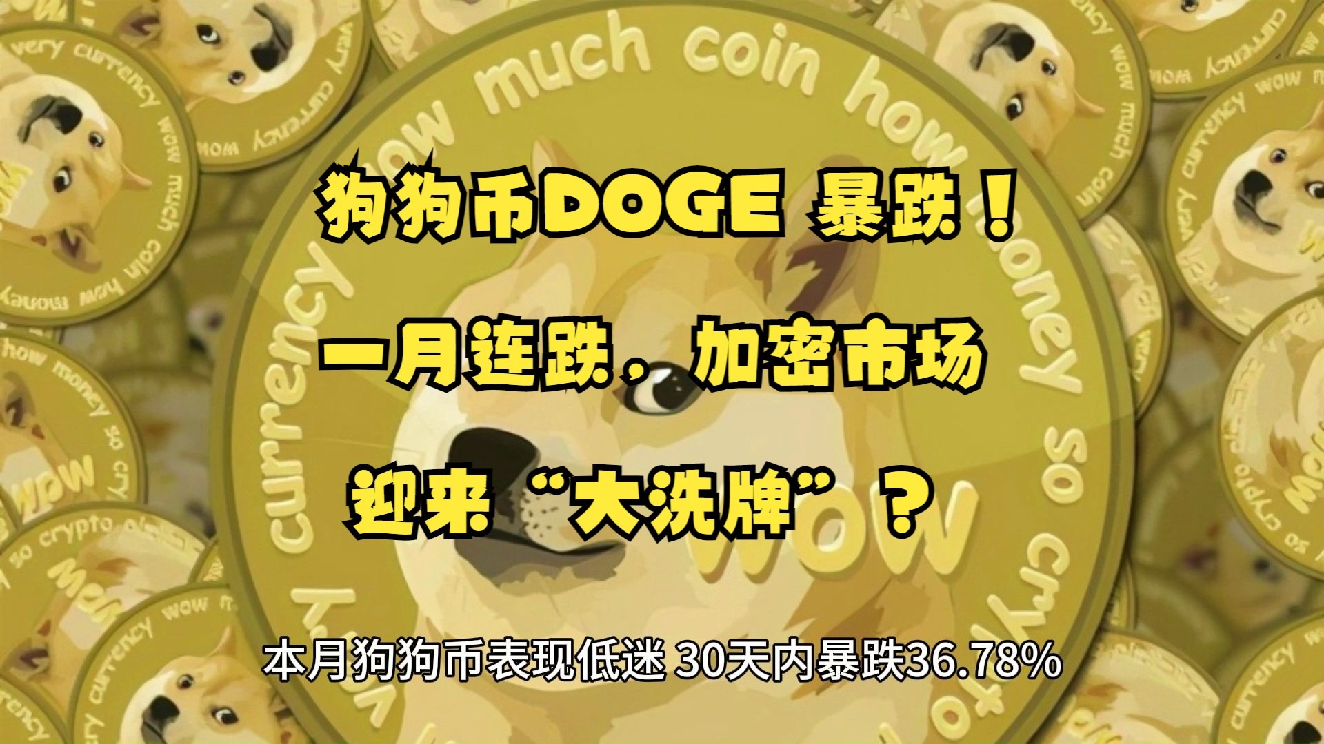 包含狗狗币冲破435美元大关，牛市是否已来临？的词条