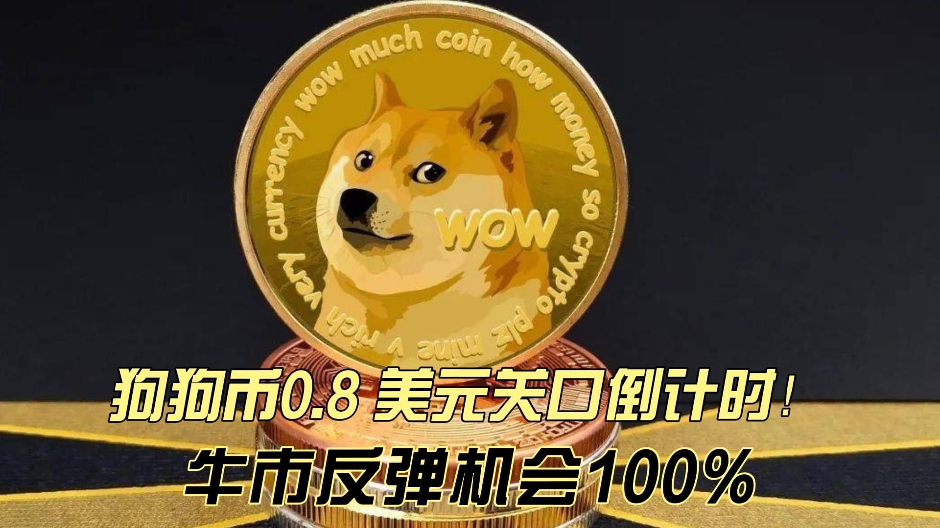 包含狗狗币遭遇大幅下滑超245%，投资者恐慌性抛售的词条