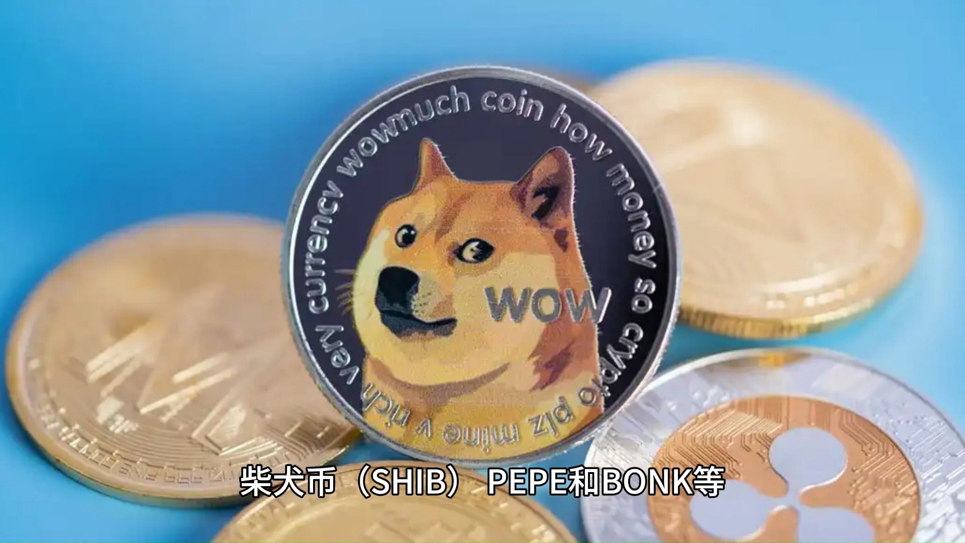 狗狗币空投即将开始，参与用户将获ADA枚代币