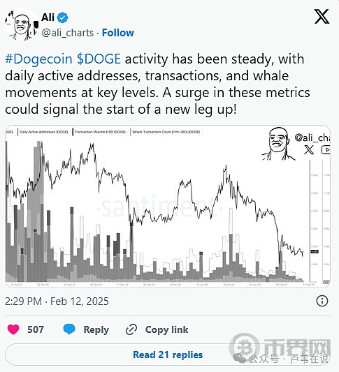 狗狗币链上活跃地址创新高，是否预示新行情？